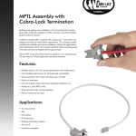 MPTL Assembly with Cobra-Lock Termination